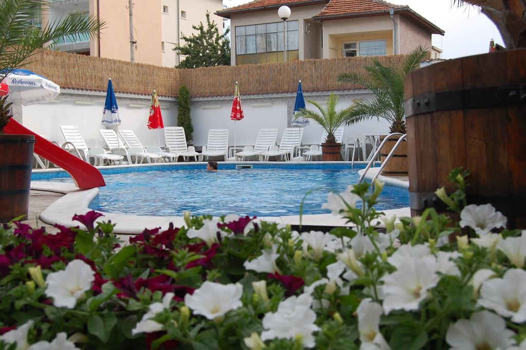 Alpina Hotel Lozeneț Exterior foto